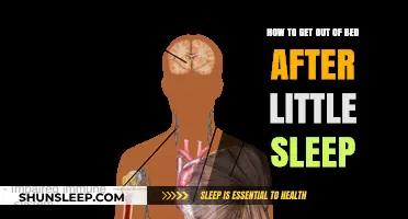 Survive the Day: Quick Tips to Rise After Minimal Sleep
