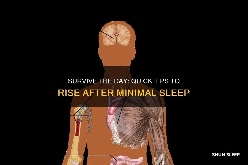 how to get out of bed after little sleep