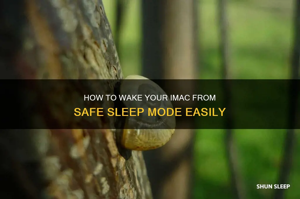 how to get out of safe sleep on imac