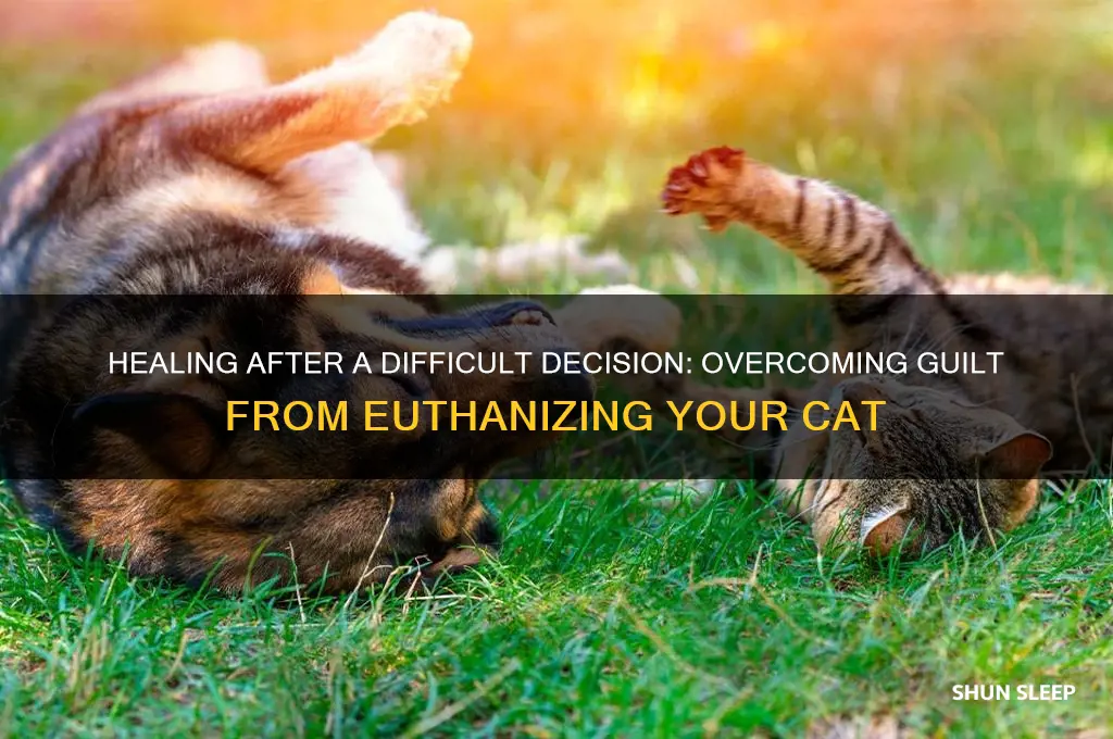 how to get over guilt of putting cat to sleep