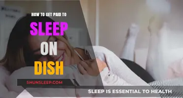 Earn Money Sleeping: Unique Dish Testing Jobs Explained