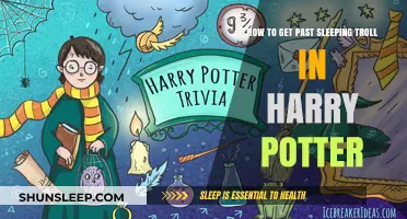Outsmarting the Sleeping Troll: A Harry Potter Survival Guide