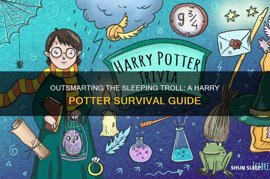 how to get past sleeping troll in harry potter