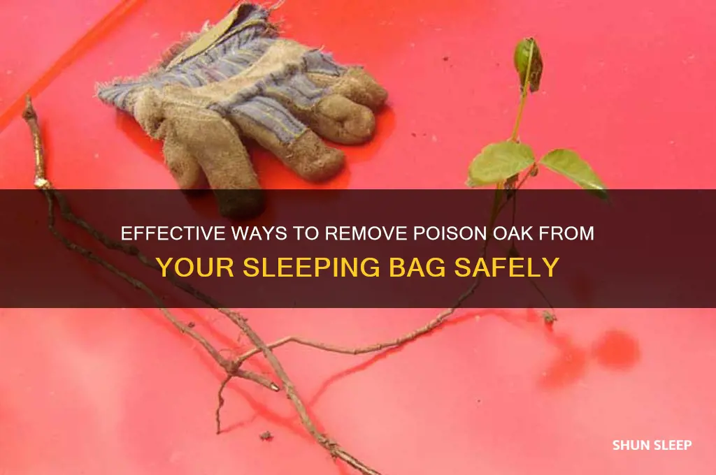 how to get poison oak off sleeping bag