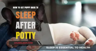 Calm and Cozy: Tips to Help Your Puppy Sleep After Potty Breaks