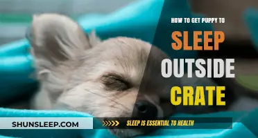Training Your Puppy to Sleep Comfortably Outside the Crate: Tips and Tricks