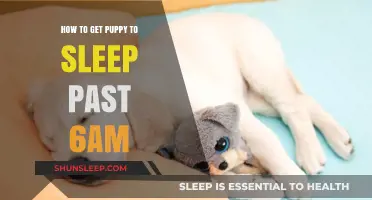 Taming Early Risers: Tips for Puppies to Sleep Past 6 AM