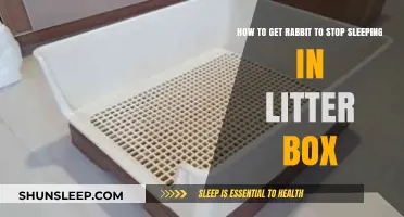 Preventing Rabbits from Sleeping in Litter Boxes: Effective Solutions and Tips