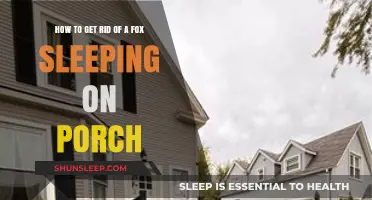 Effective Ways to Gently Remove a Fox Sleeping on Your Porch