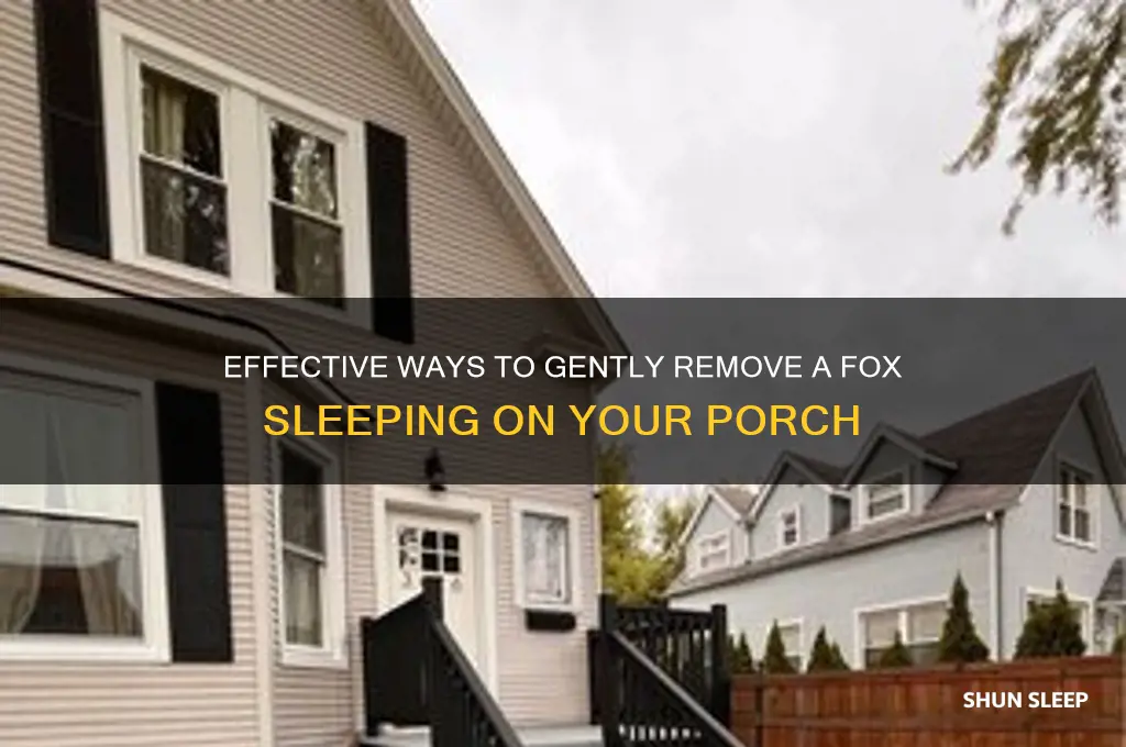how to get rid of a fox sleeping on porch