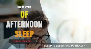 Beat Afternoon Fatigue: Proven Tips to Stay Alert and Energized