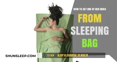Effective Ways to Eliminate Bed Bugs from Your Sleeping Bag