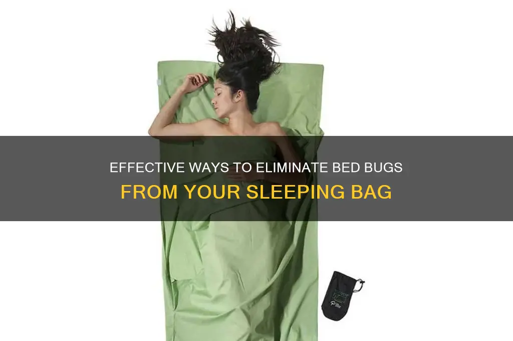 how to get rid of bed bugs from sleeping bag
