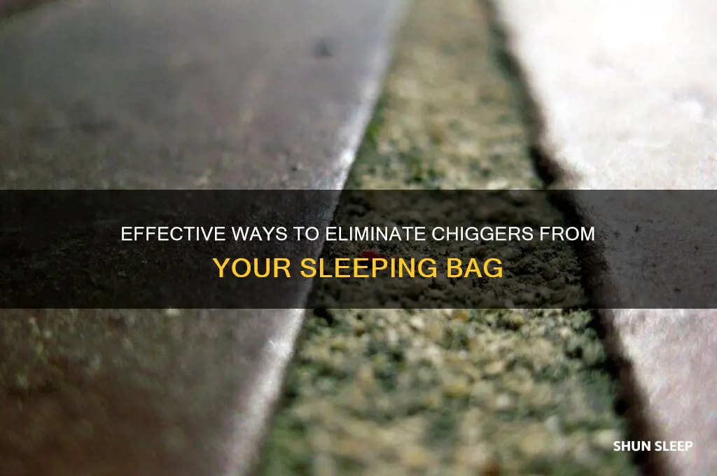 how to get rid of chiggers in sleeping bag