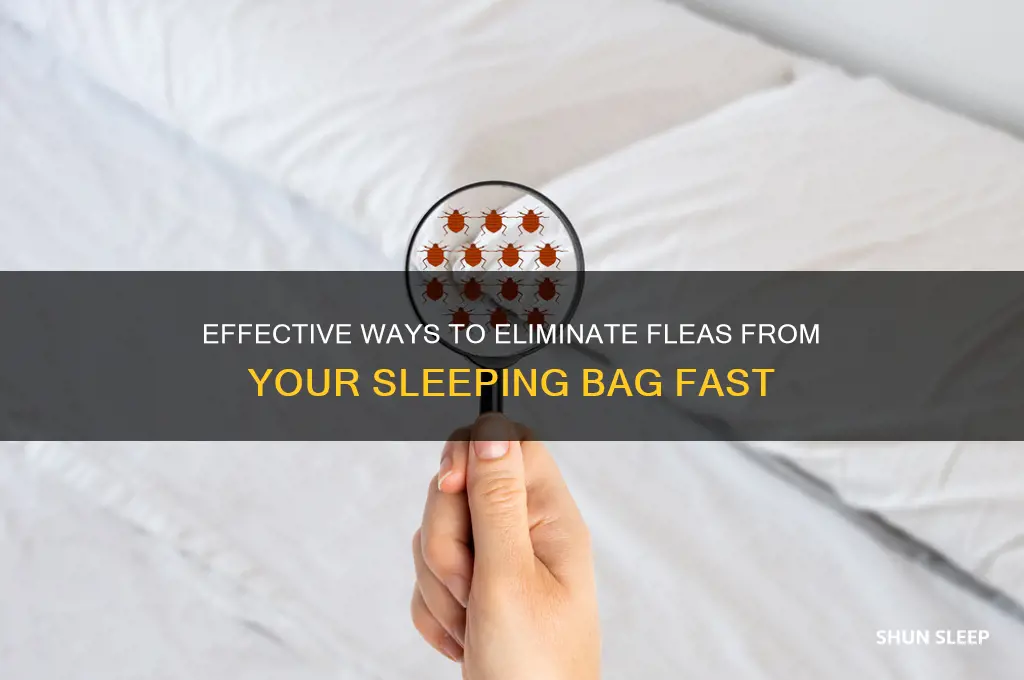 how to get rid of fleas in sleeping bag