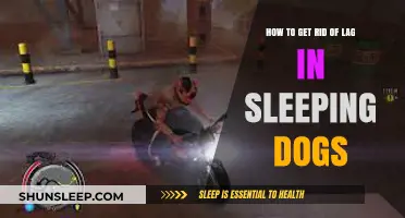 Eliminate Lag in Sleeping Dogs: Optimize Performance for Smooth Gameplay