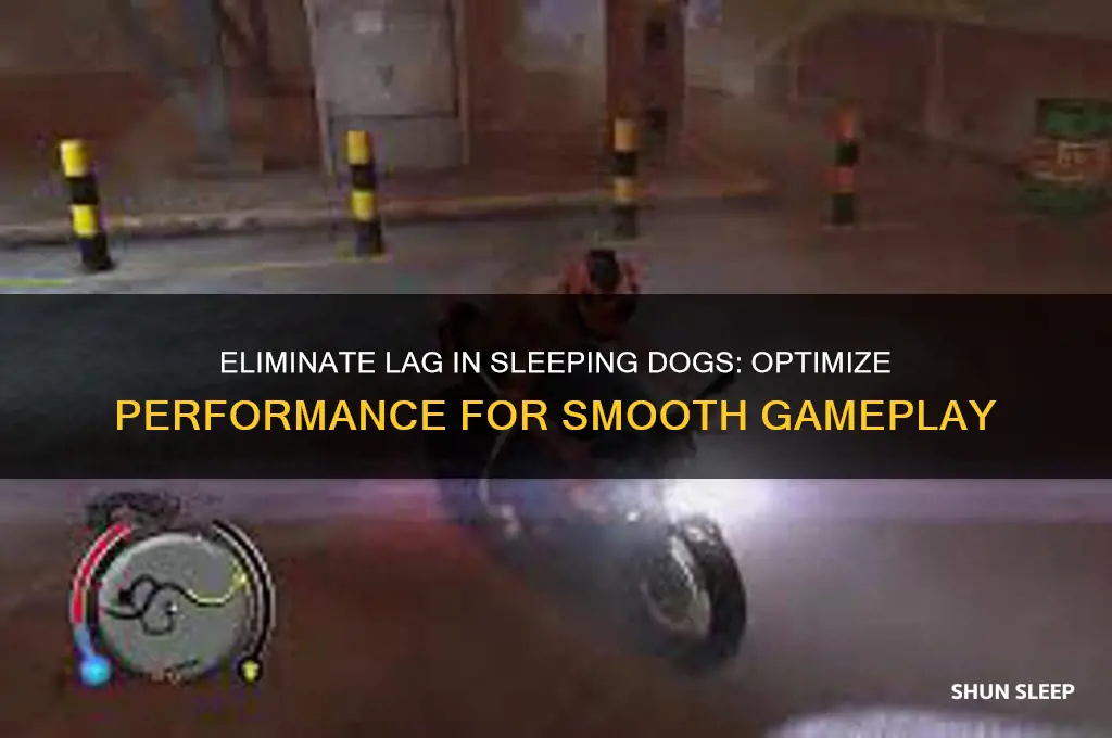 how to get rid of lag in sleeping dogs