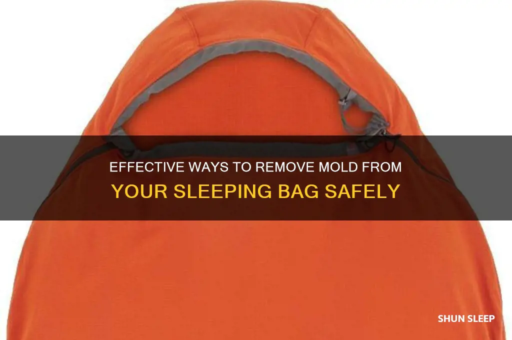 how to get rid of mold in a sleeping bag