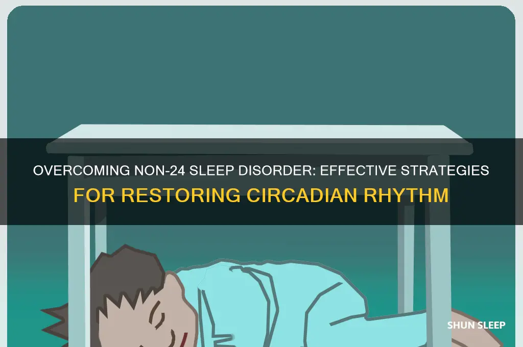 how to get rid of non 24 sleep