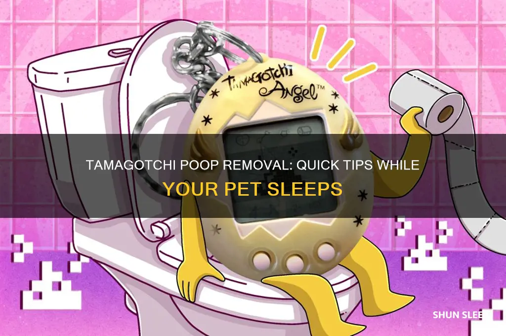 how to get rid of poop if tamagotchi is sleeping
