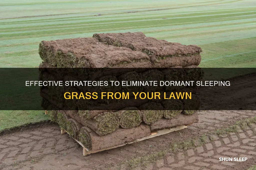 how to get rid of sleeping grass