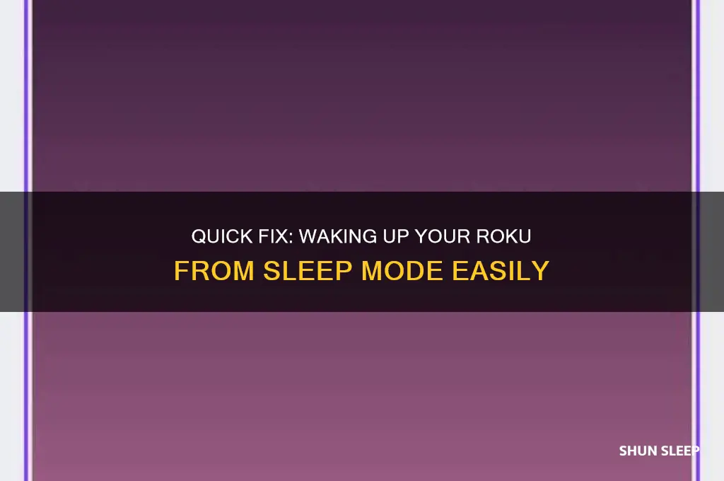 how to get roku out of sleep mode
