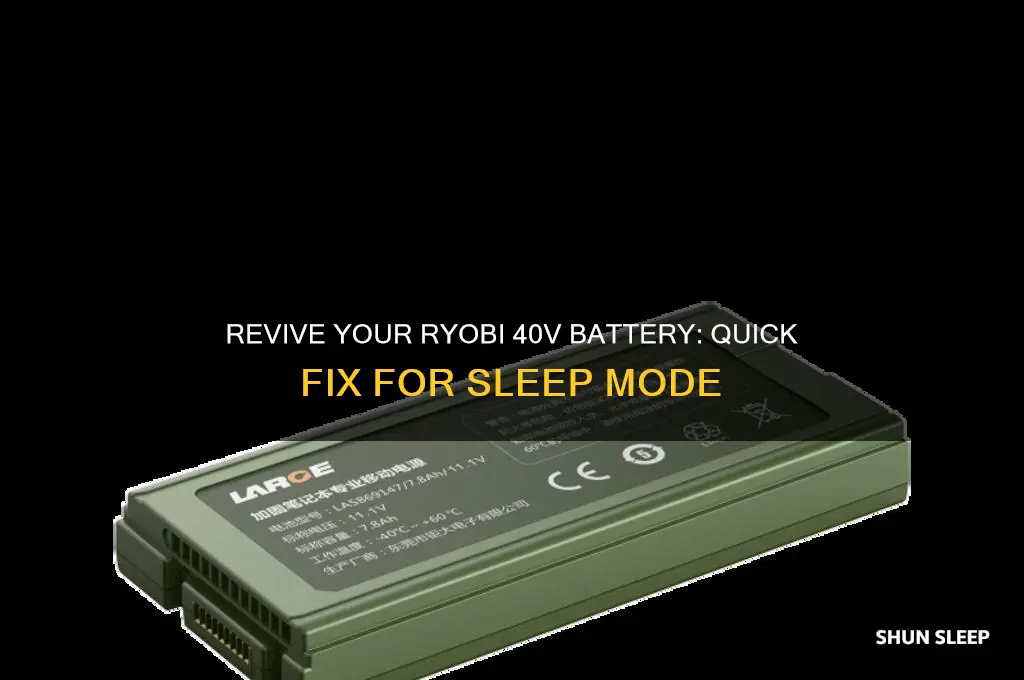 how to get ryobi 40v battery out of sleep mode