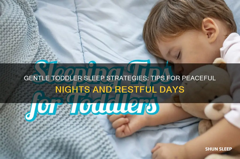 how to get s toddler to sleep