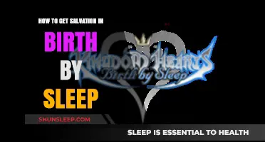 Attaining Salvation in Birth by Sleep: A Comprehensive Guide