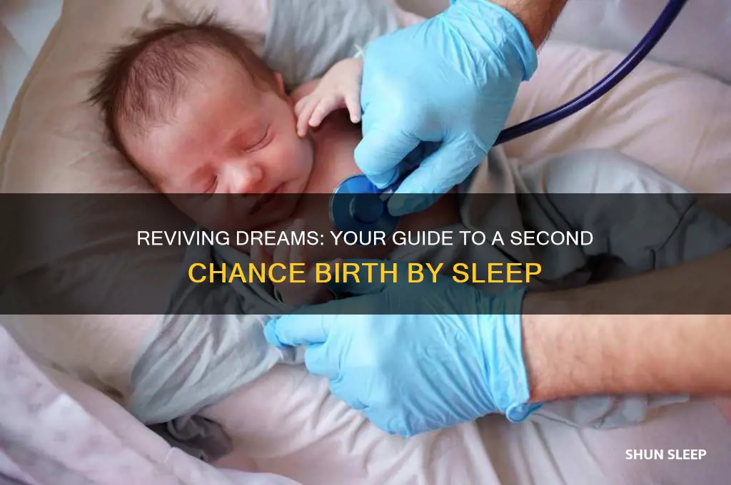 how to get second chance birth by sleep