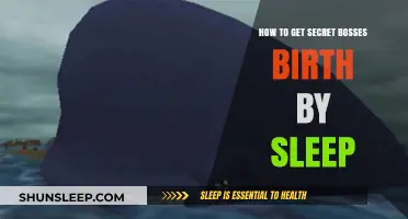 Unlocking Birth by Sleep's Secret Bosses: A Comprehensive Guide