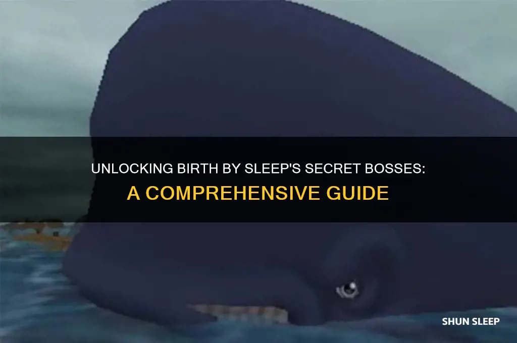 how to get secret bosses birth by sleep
