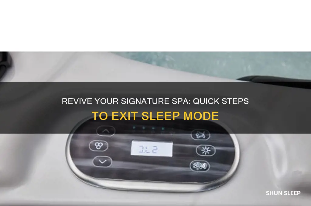how to get signature spa out of sleep mode