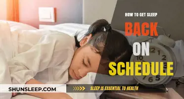 Reset Your Sleep Schedule: Tips for Restful Nights and Energized Days