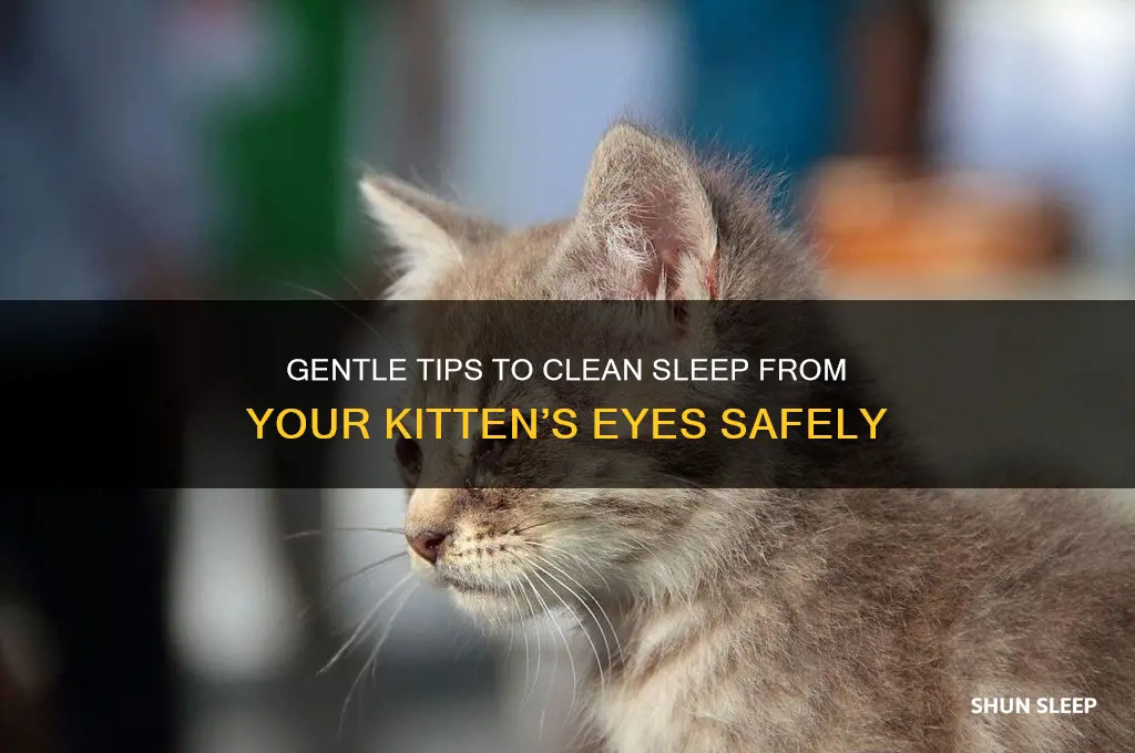 how to get sleep out of kitten