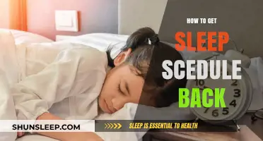 Reset Your Sleep Schedule: Tips for Restoring Healthy Rest Patterns