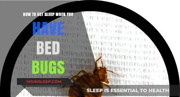 Sleep Tight Despite Bed Bugs: Effective Strategies for Peaceful Nights