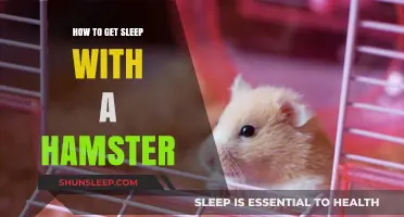 Tips for Peaceful Sleep with Your Hamster: A Cozy Guide