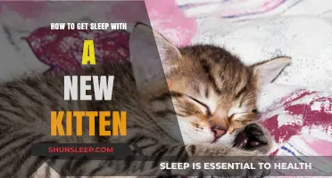 Tips for Peaceful Sleep with Your New Kitten Companion