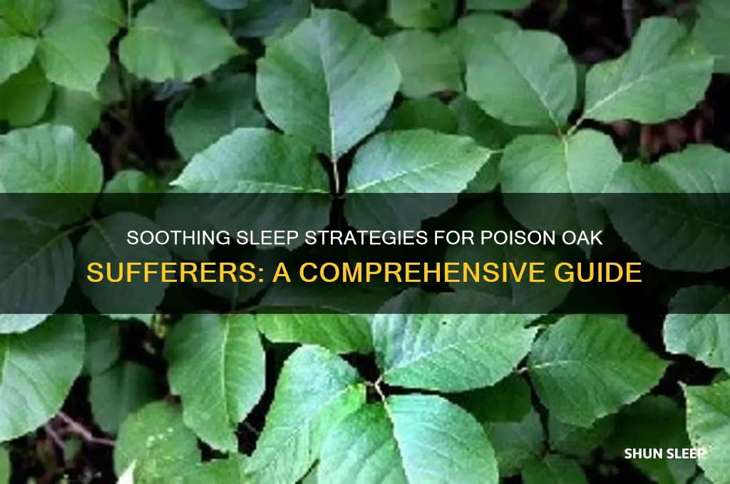 how to get sleep with poison oak