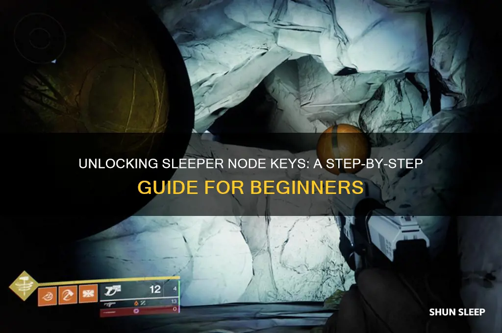 how to get sleeper node keys