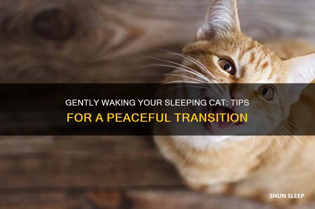 how to get sleeping cat of me