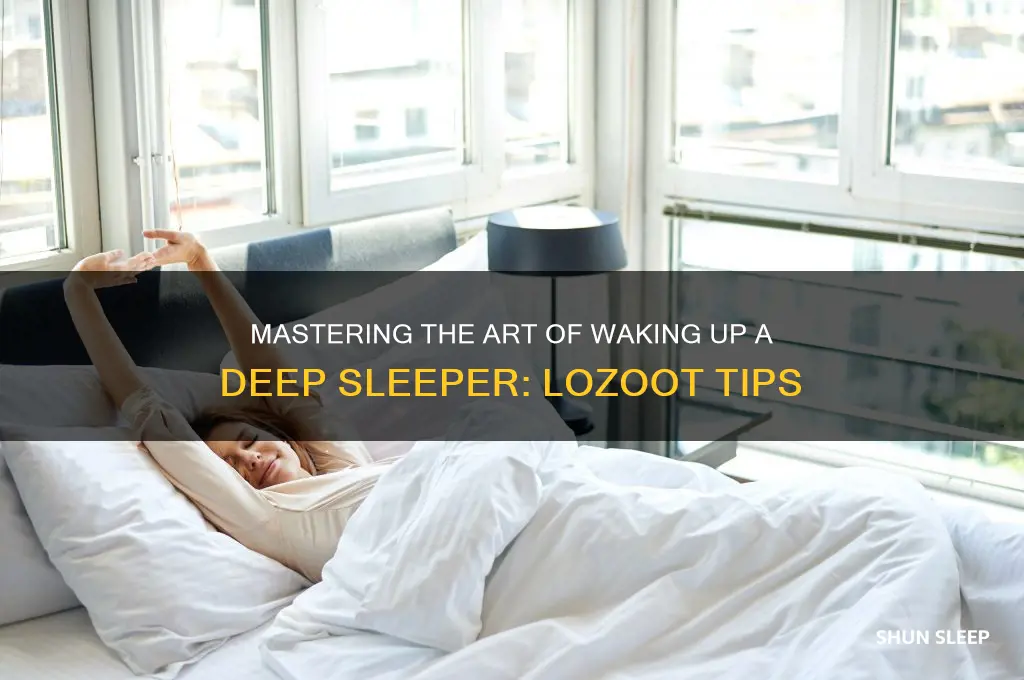 how to get sleeping guy to wake up lozoot