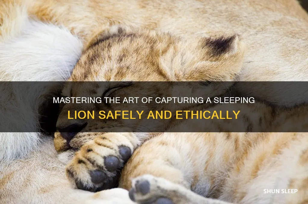 how to get sleeping lion