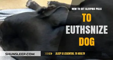 Euthanasia Alternatives: Exploring Sleeping Pills for Dogs - Risks & Ethics