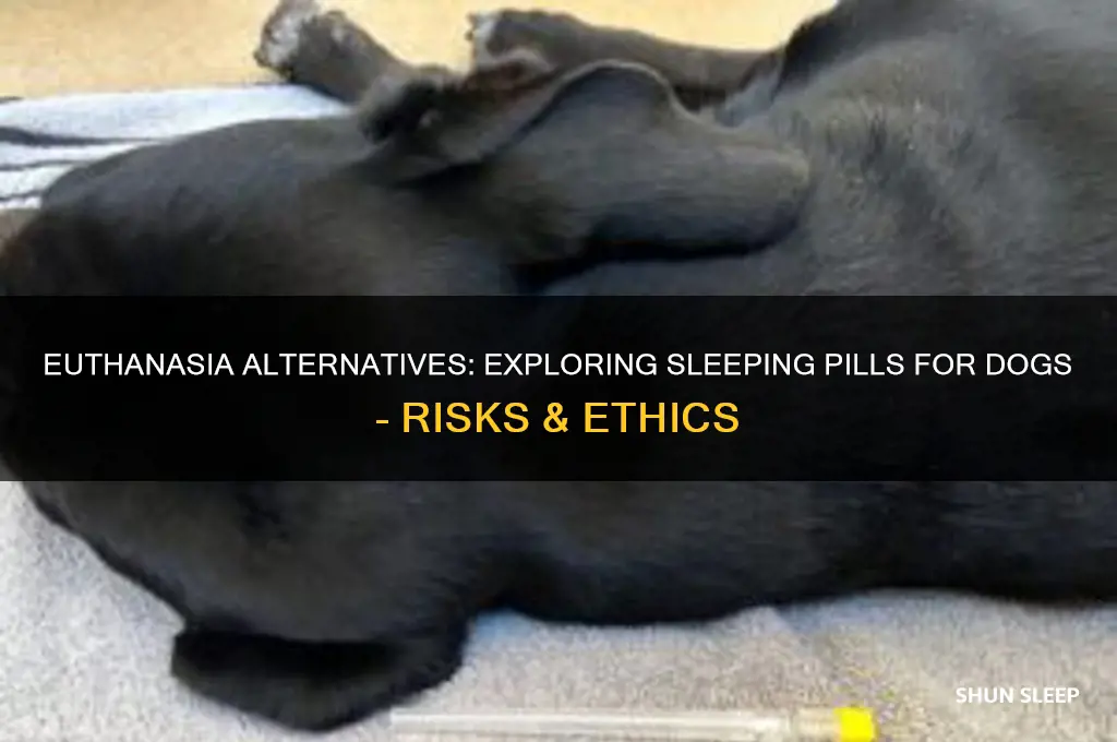 how to get sleeping pills to euthsnize dog