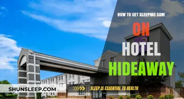 Unlocking Hotel Hideaway Secrets: Guide to Getting Sleeping Sam