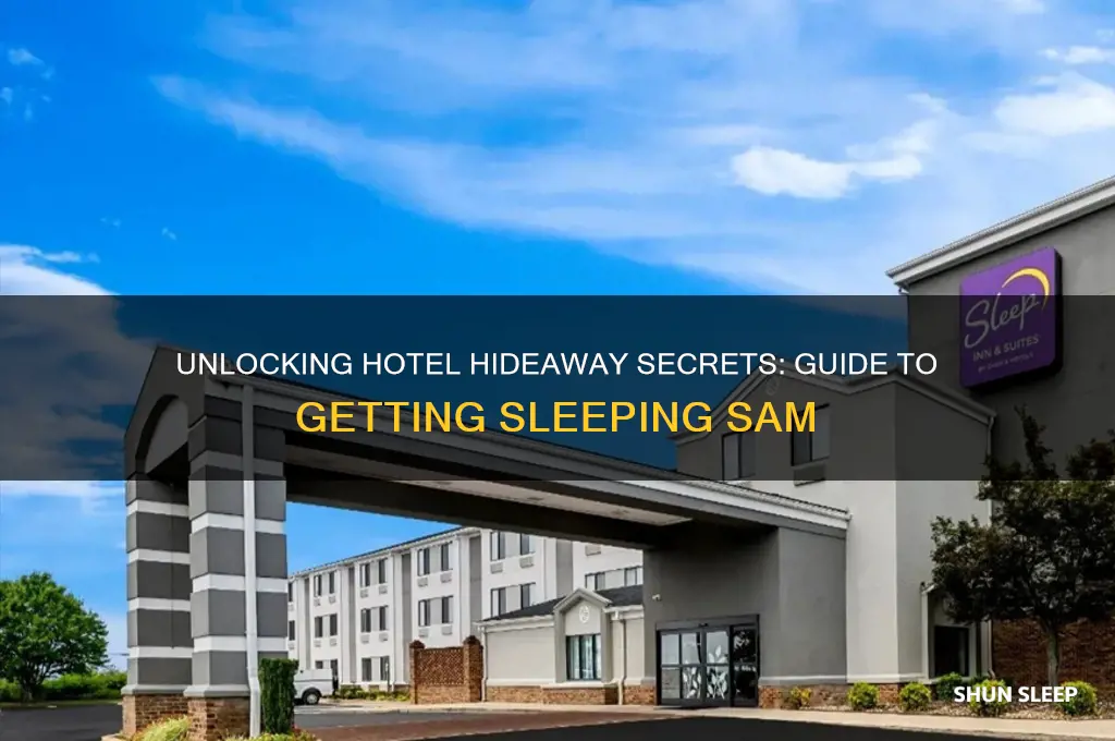 how to get sleeping sam on hotel hideaway