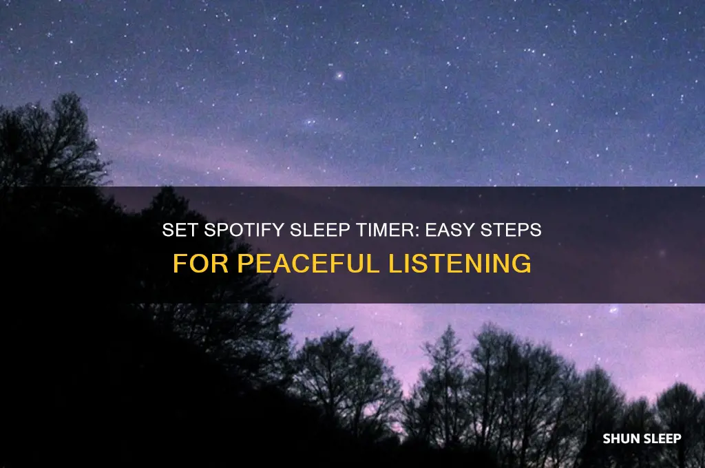 how to get spotify sleep timer