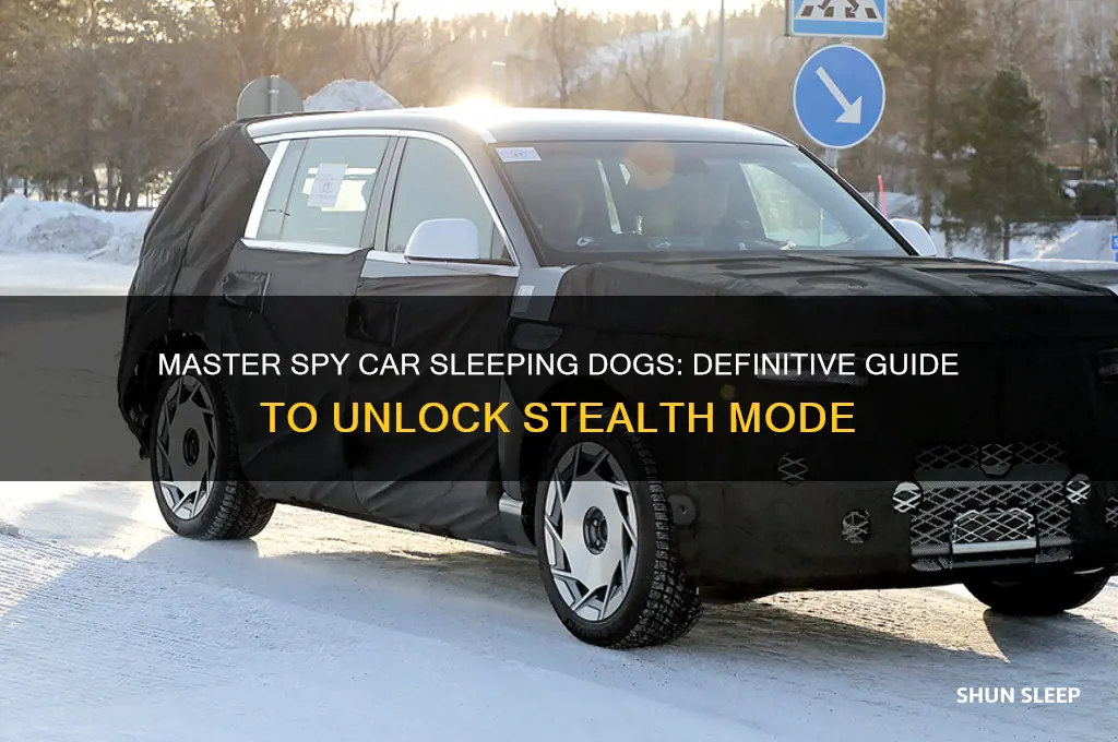 how to get spy car sleeping dogs definite